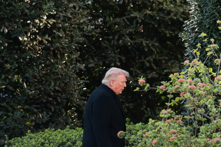 [Aggregator] Downloaded image for imported item #156312