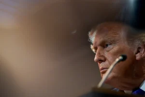 [Aggregator] Downloaded image for imported item #156199