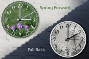 [Aggregator] Downloaded image for imported item #156587