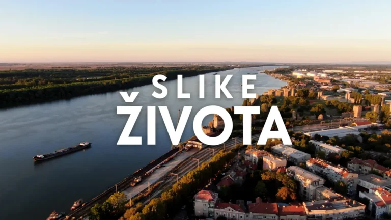 [Aggregator] Downloaded image for imported item #157701