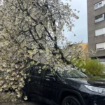 [Aggregator] Downloaded image for imported item #157653