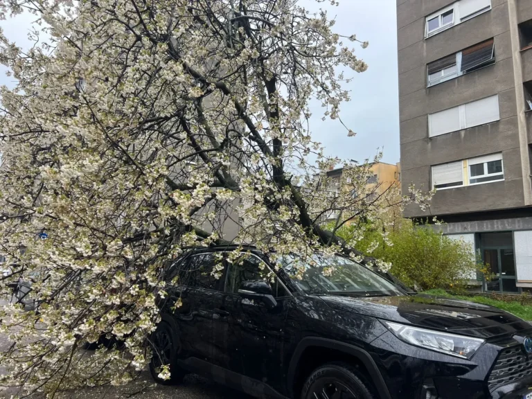 [Aggregator] Downloaded image for imported item #157653