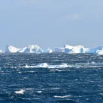 [Aggregator] Downloaded image for imported item #157617