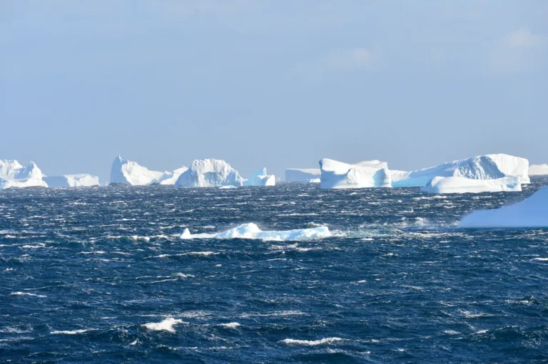 [Aggregator] Downloaded image for imported item #157617