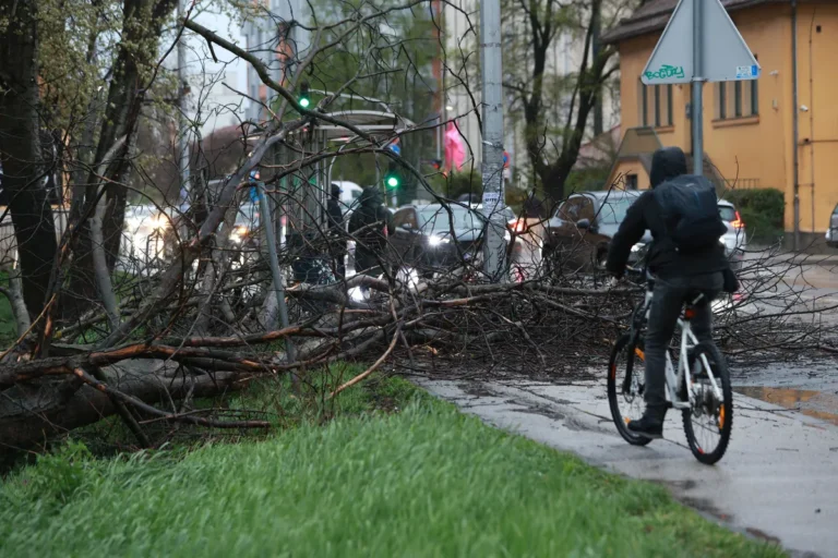 [Aggregator] Downloaded image for imported item #157881