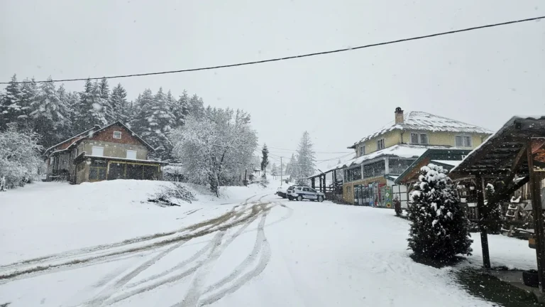 [Aggregator] Downloaded image for imported item #157852