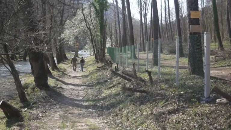 [Aggregator] Downloaded image for imported item #158447