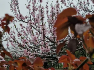 [Aggregator] Downloaded image for imported item #158443