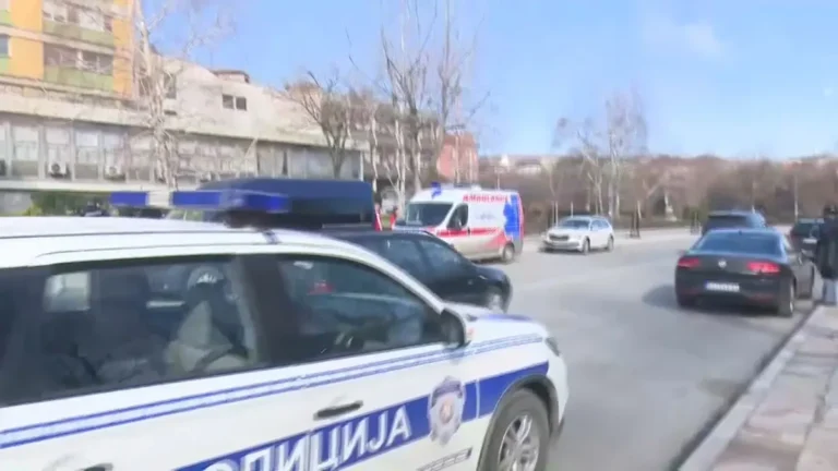 [Aggregator] Downloaded image for imported item #158593