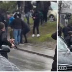 [Aggregator] Downloaded image for imported item #158568