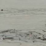 [Aggregator] Downloaded image for imported item #159384