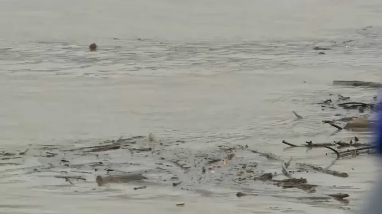 [Aggregator] Downloaded image for imported item #159384