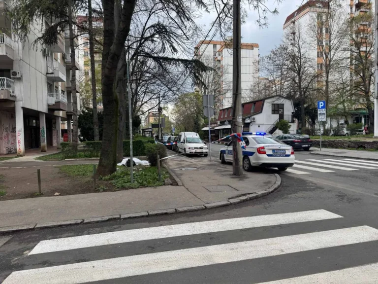 [Aggregator] Downloaded image for imported item #159639