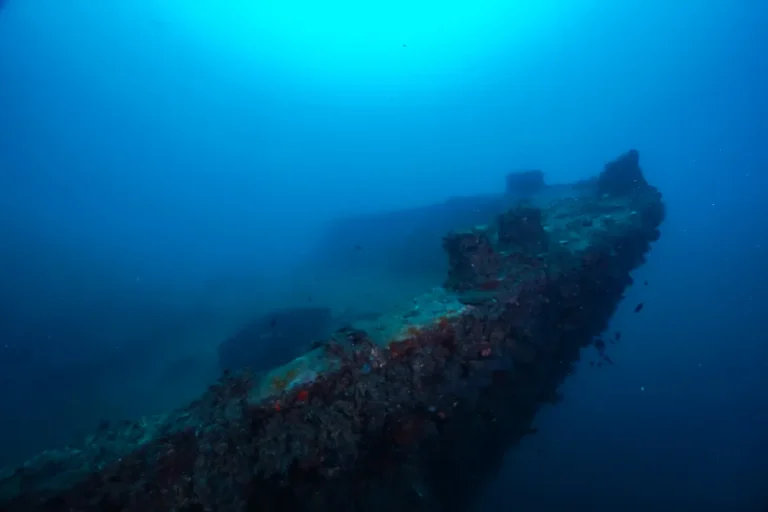 [Aggregator] Downloaded image for imported item #159840