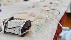 [Aggregator] Downloaded image for imported item #158916