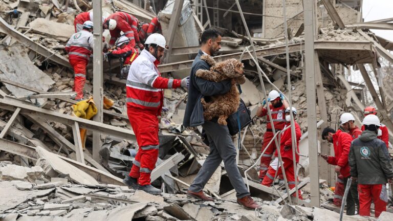 [Aggregator] Downloaded image for imported item #152502