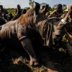 [Aggregator] Downloaded image for imported item #154459