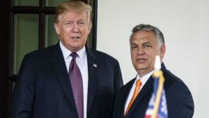 [Aggregator] Downloaded image for imported item #148085