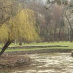 [Aggregator] Downloaded image for imported item #144800