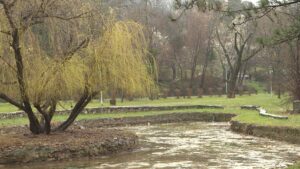 [Aggregator] Downloaded image for imported item #144800