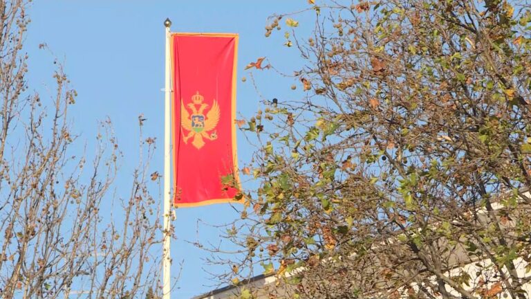 [Aggregator] Downloaded image for imported item #148437