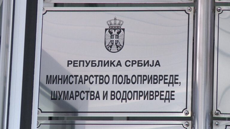 [Aggregator] Downloaded image for imported item #152617