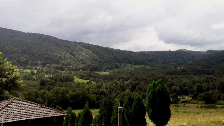 [Aggregator] Downloaded image for imported item #154679