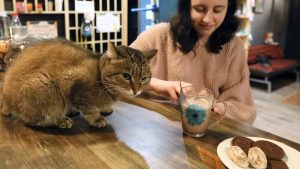 [Aggregator] Downloaded image for imported item #148759