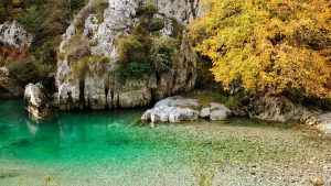 [Aggregator] Downloaded image for imported item #158491