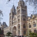 [Aggregator] Downloaded image for imported item #154612