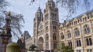 [Aggregator] Downloaded image for imported item #154612