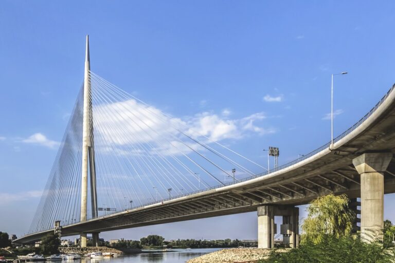 [Aggregator] Downloaded image for imported item #148956