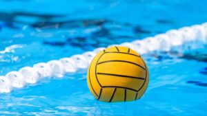 [Aggregator] Downloaded image for imported item #152493