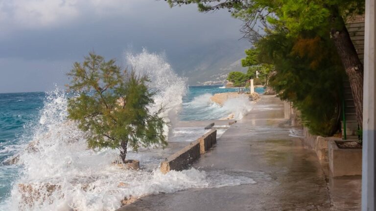 [Aggregator] Downloaded image for imported item #157227