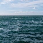 [Aggregator] Downloaded image for imported item #155503