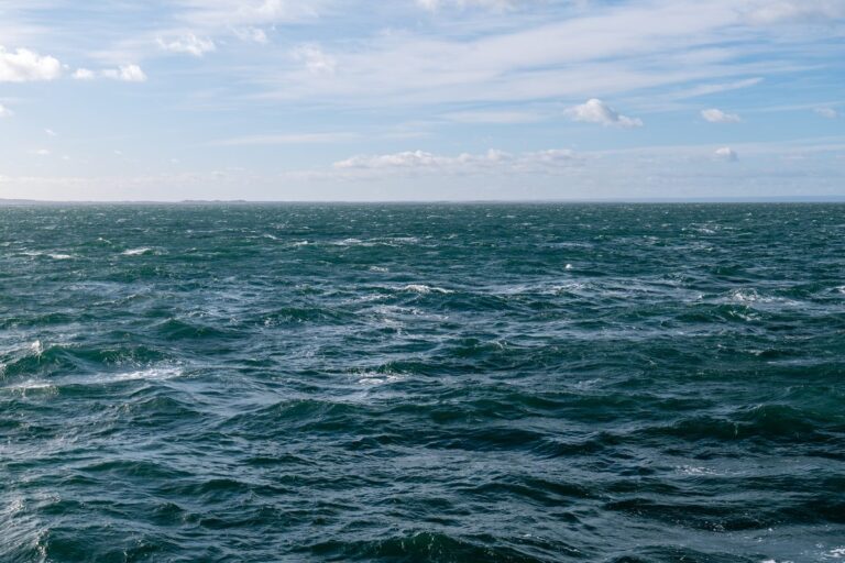 [Aggregator] Downloaded image for imported item #155503