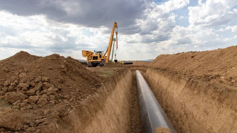 [Aggregator] Downloaded image for imported item #156100