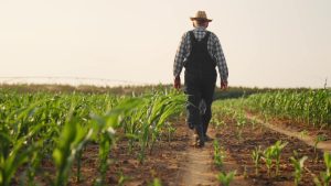 [Aggregator] Downloaded image for imported item #150532