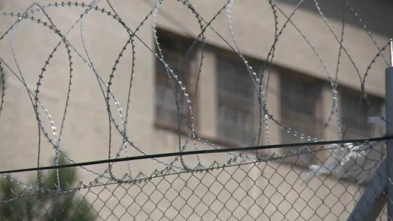 [Aggregator] Downloaded image for imported item #145103