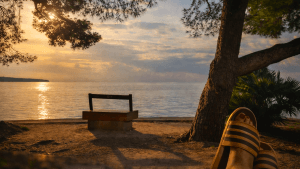 [Aggregator] Downloaded image for imported item #161774