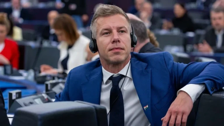 [Aggregator] Downloaded image for imported item #167212