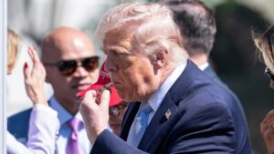 [Aggregator] Downloaded image for imported item #162665