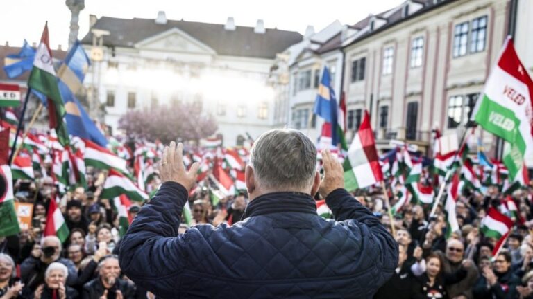 [Aggregator] Downloaded image for imported item #164223