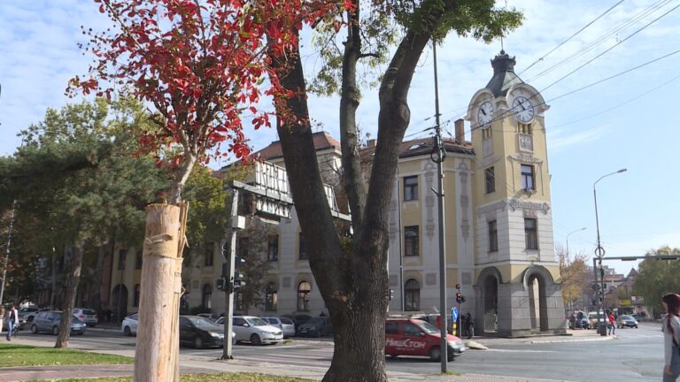 [Aggregator] Downloaded image for imported item #161667