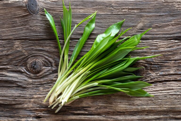 [Aggregator] Downloaded image for imported item #162263