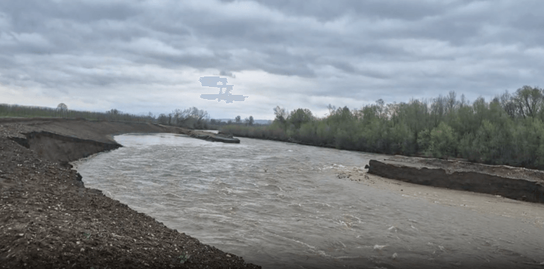 [Aggregator] Downloaded image for imported item #161230