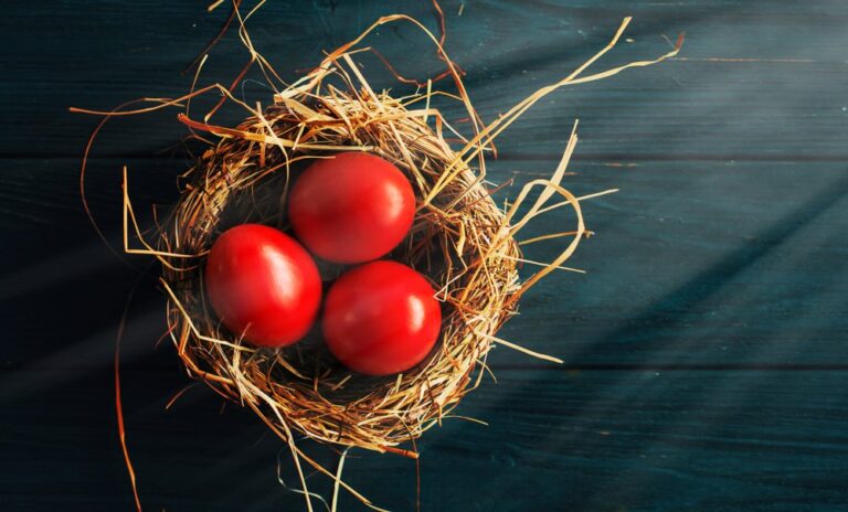 [Aggregator] Downloaded image for imported item #161995