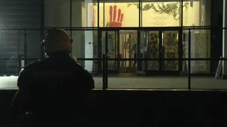 [Aggregator] Downloaded image for imported item #163043