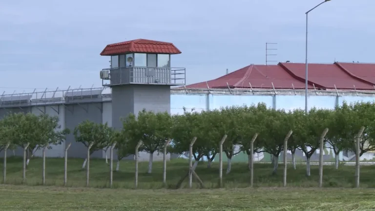 [Aggregator] Downloaded image for imported item #165228