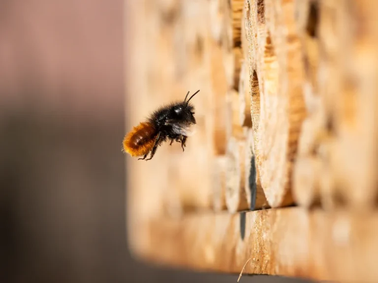 [Aggregator] Downloaded image for imported item #167951